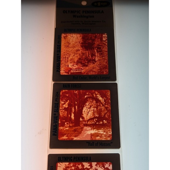 Vintage GAF Pana-Vue Slides Olympic Peninsula Washington State Lot of 5 PV114 - Picture 8 of 11